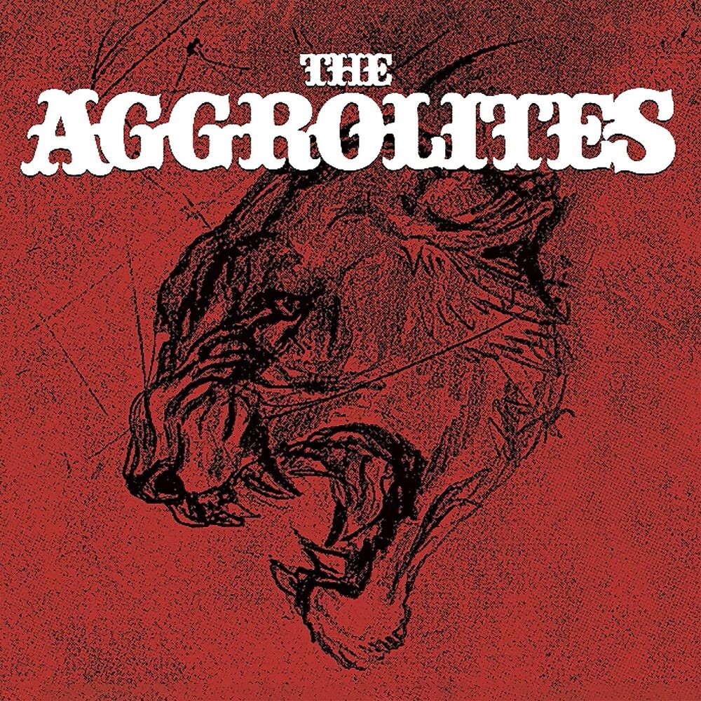 Виниловая пластинка LP The Aggrolites - The Aggrolites
Виниловая пластинка LP The Aggrolites - The Aggrolites