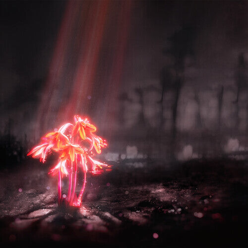 CD диск Enter Shikari: A Kiss for the Whole World
CD диск Enter Shikari: A Kiss for the Whole World