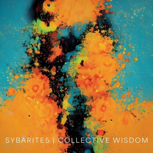 CD диск Sybarite5: Collective Wisdom
CD диск Sybarite5: Collective Wisdom