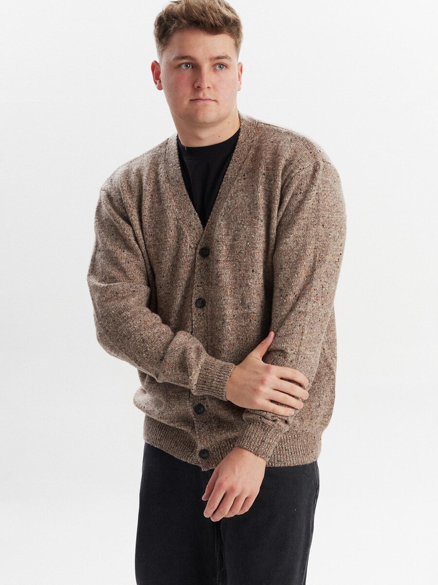 Вязаный кардиган Dxnmxrk DXFranker, коричневый
Вязаный кардиган Dxnmxrk DXFranker, коричневый
