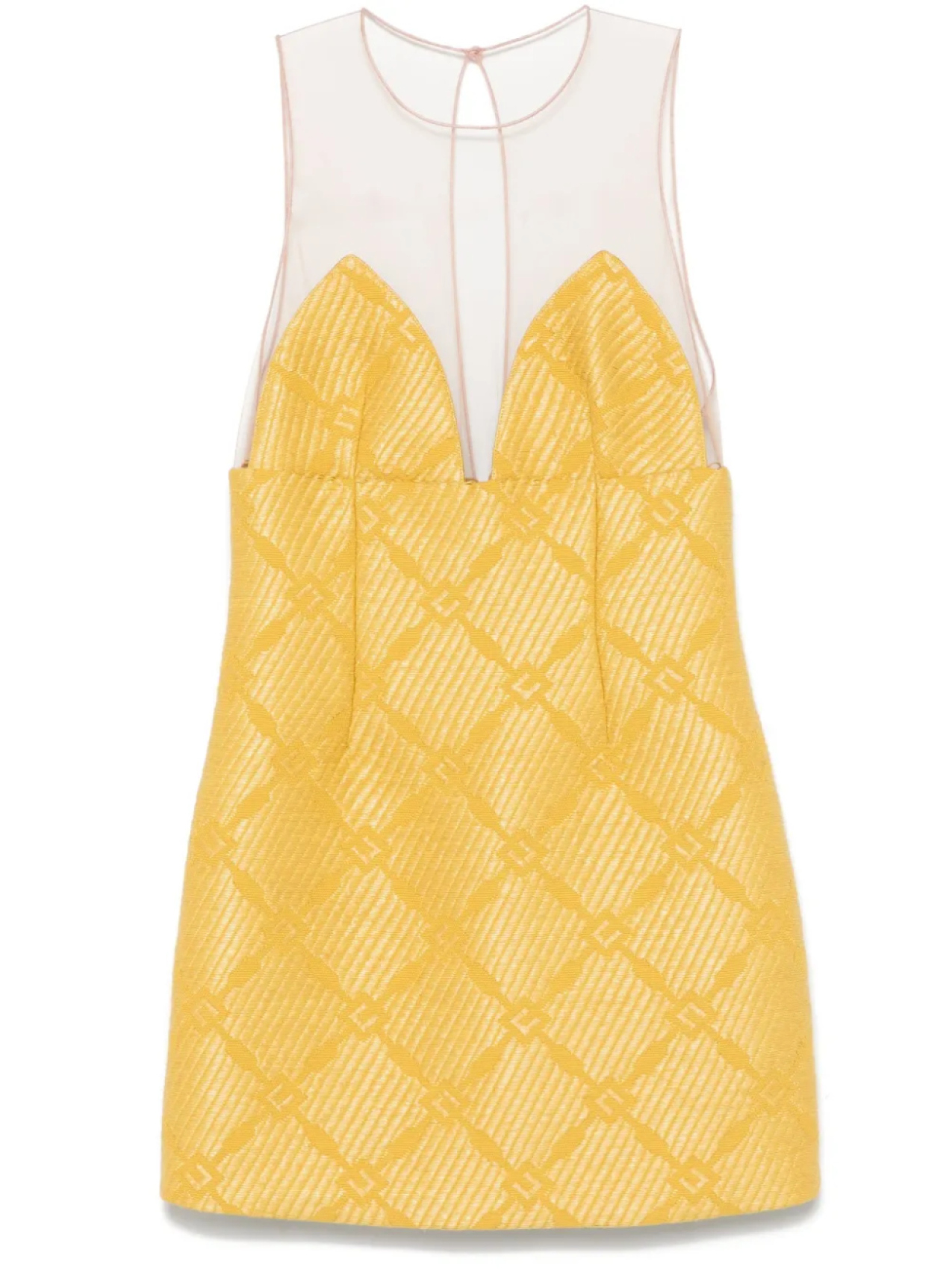 Elisabetta Franchi платье мини из рафии и тюля, желтый
Elisabetta Franchi платье мини из рафии и тюля, желтый