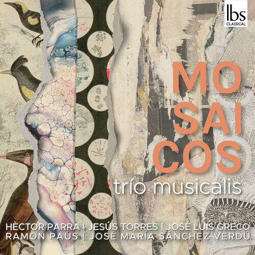 CD диск Greco / Parra / Paus / Trio Musicalis: Mosaicos
CD диск Greco / Parra / Paus / Trio Musicalis: Mosaicos