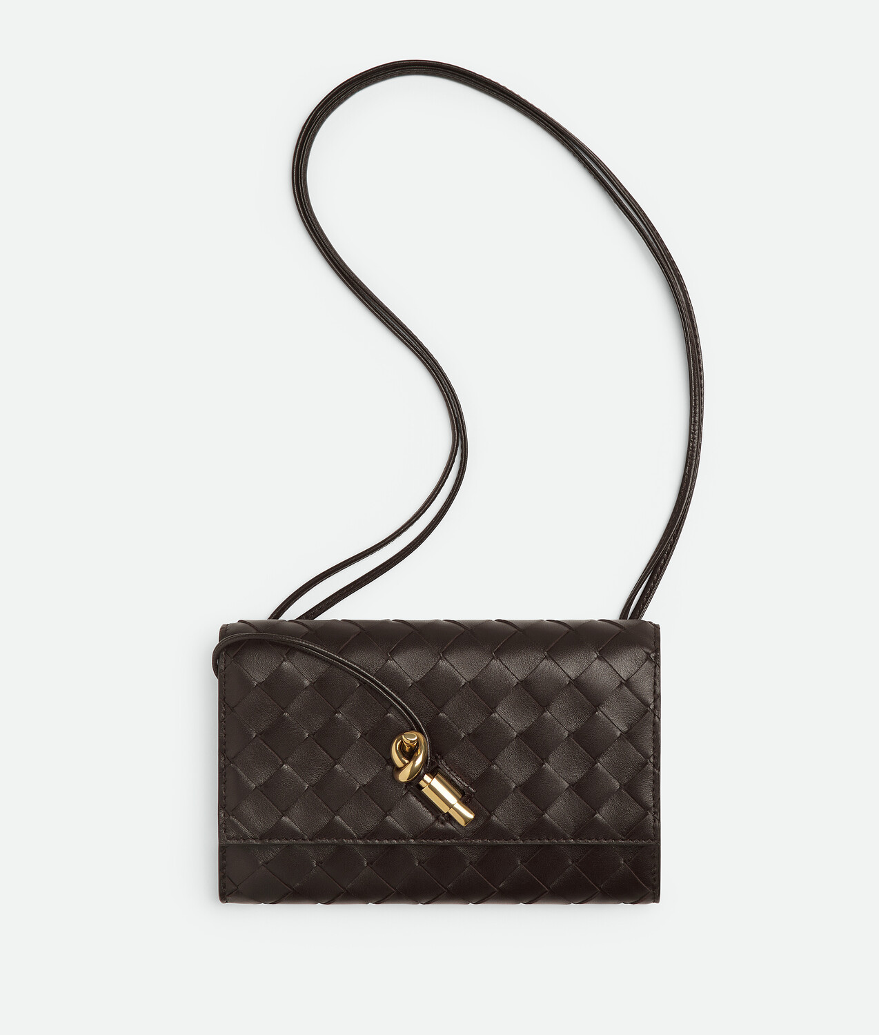 Andiamo pouch BOTTEGA VENETA, фондан
Andiamo pouch BOTTEGA VENETA, фондан