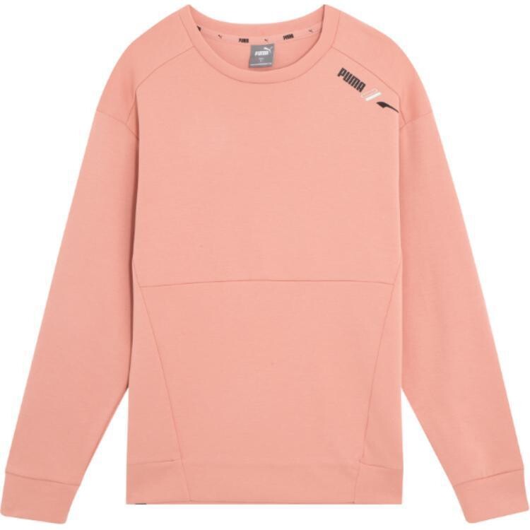 Толстовка мужская розово-розовая Puma, розовый
Толстовка мужская розово-розовая Puma, розовый