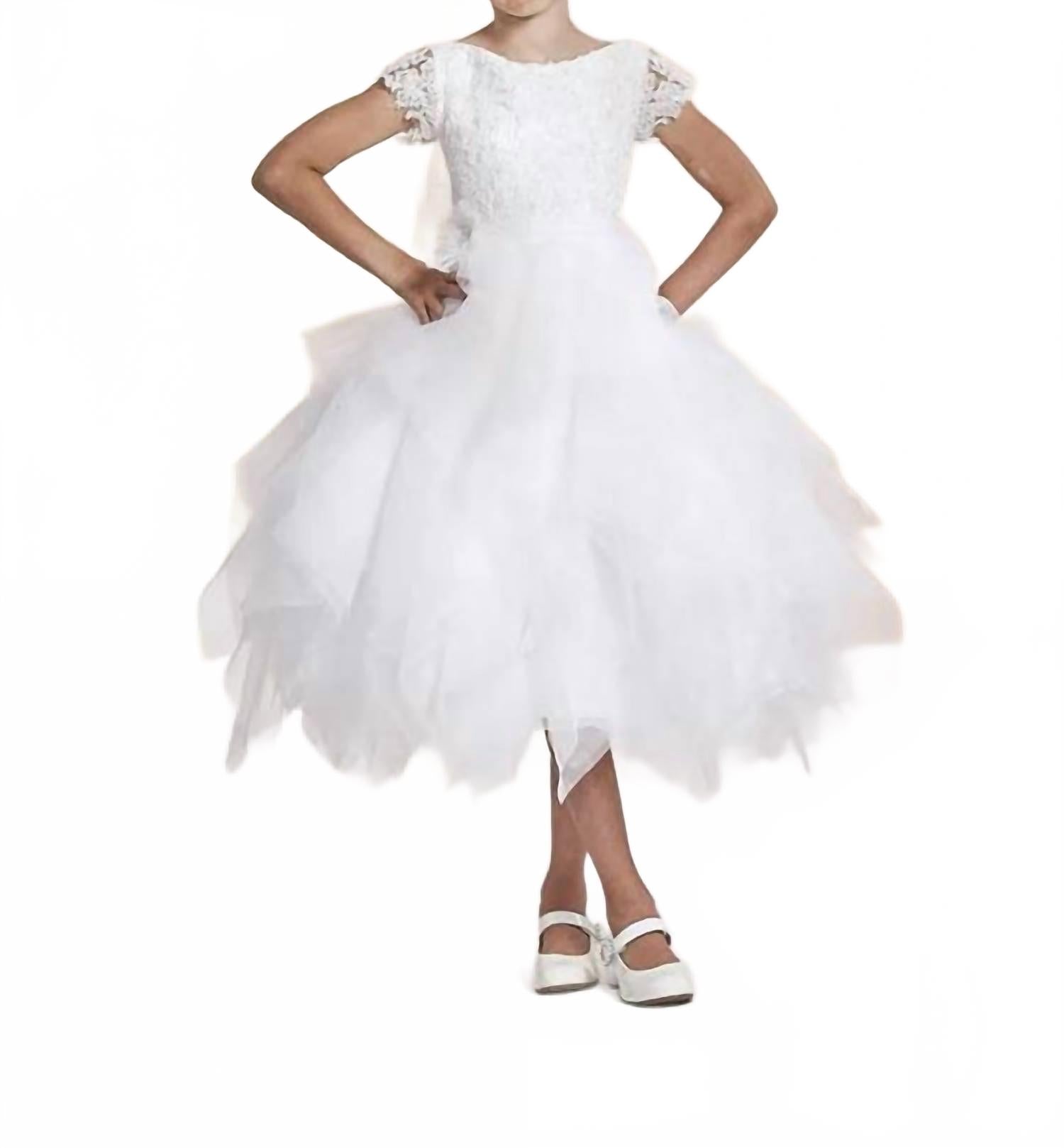 Белый кружевной лиф с бисером Joan Calabrese, белый
Белый кружевной лиф с бисером Joan Calabrese, белый