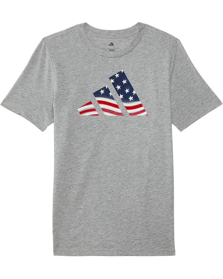 Футболка adidas Kids USA Flag Logo Tee, цвет Medium Grey Heather
Футболка adidas Kids USA Flag Logo Tee, цвет Medium Grey Heather