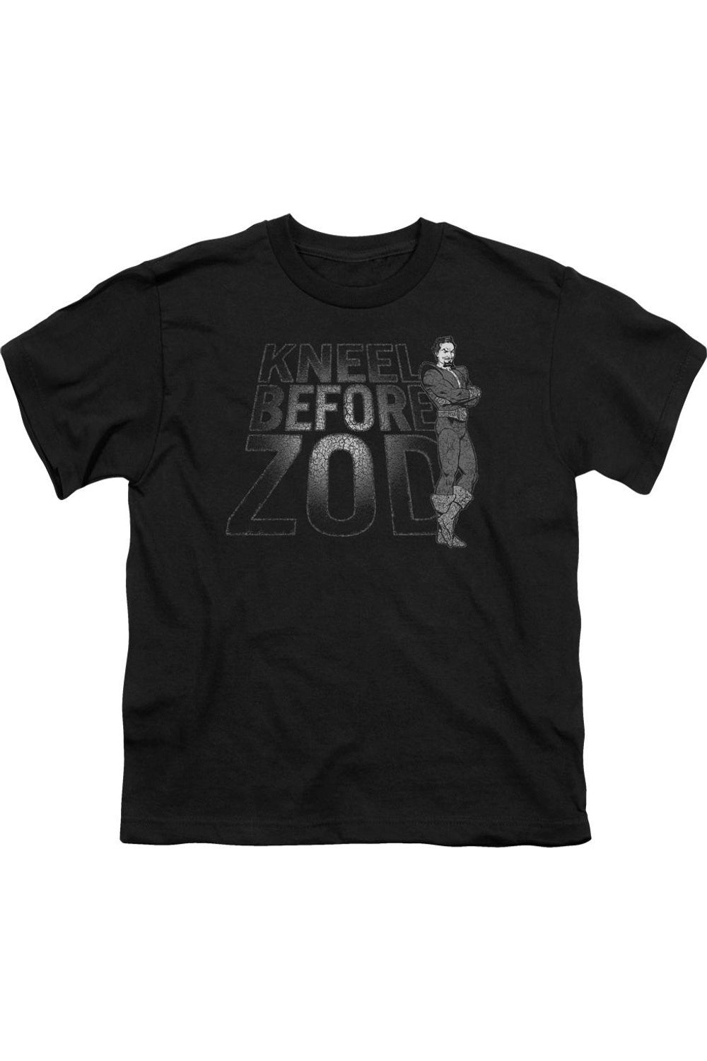 Футболка DC Comics "Kneel Zod" с коротким рукавом для детей Gildan, черный
Футболка DC Comics "Kneel Zod" с коротким рукавом для детей Gildan, черный