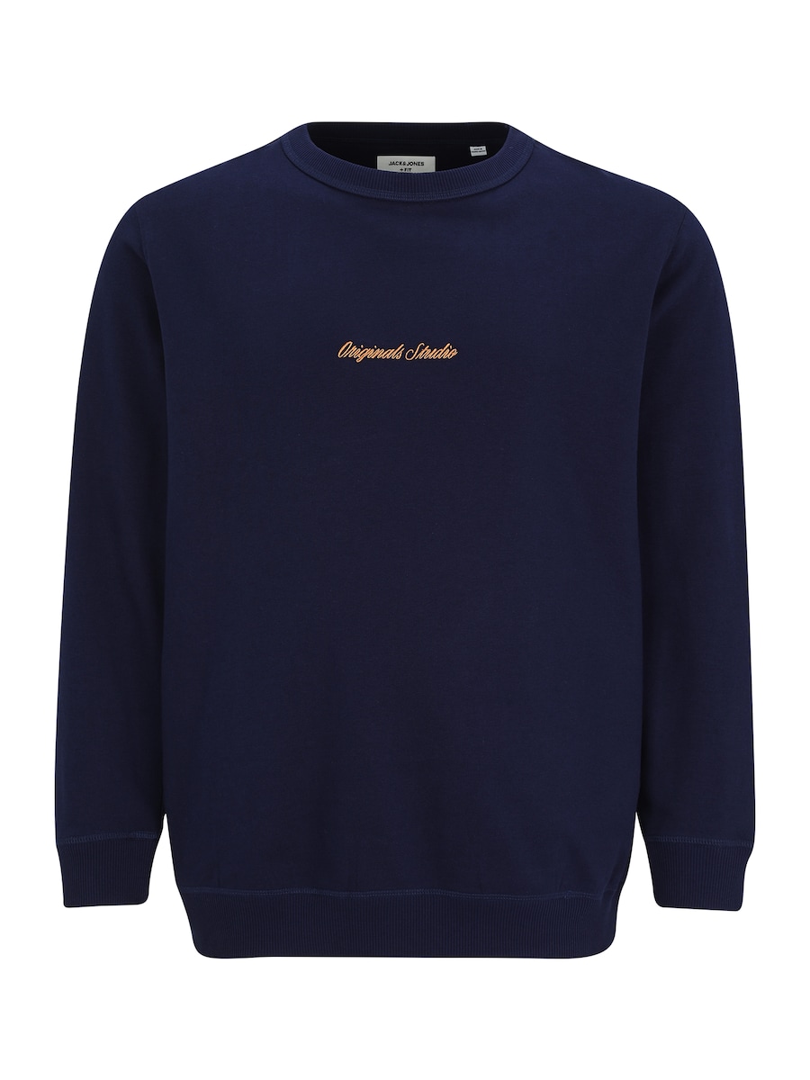 Толстовка Jack & Jones Plus JORNorrebro, темно-синий
Толстовка Jack & Jones Plus JORNorrebro, темно-синий