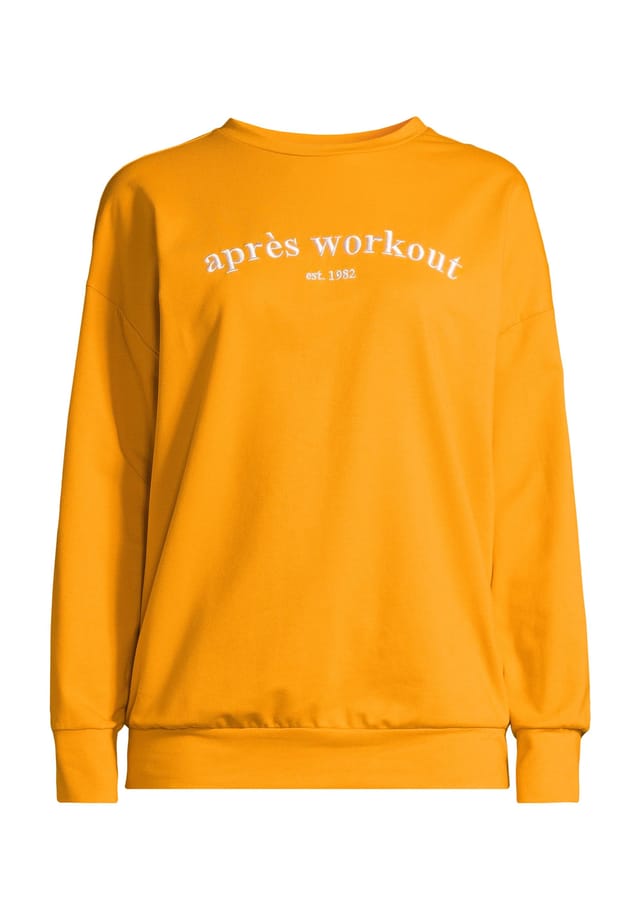 Спортивная толстовка с длинным рукавом с вышивкой Alex, желтый
Спортивная толстовка с длинным рукавом с вышивкой Alex, желтый