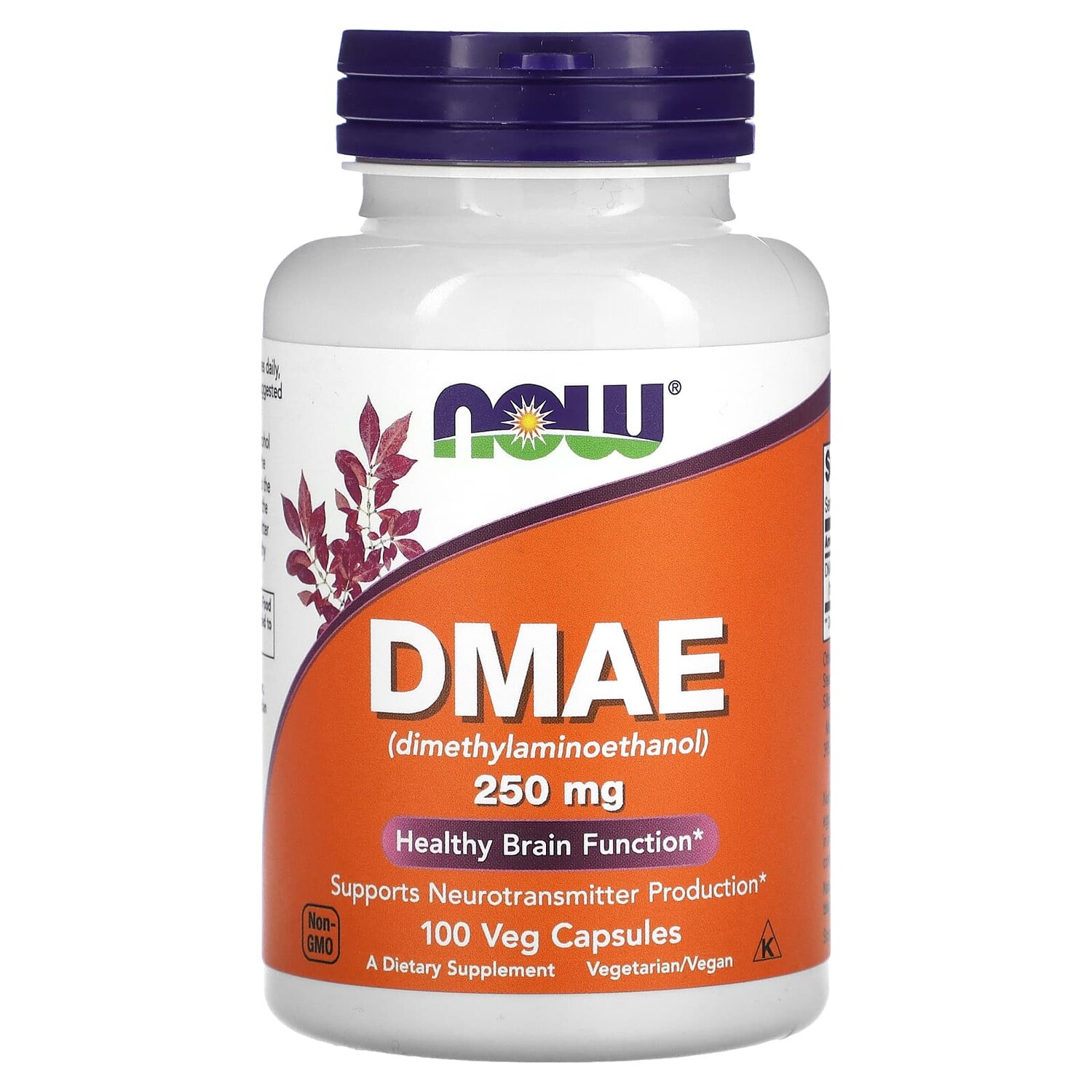 Now Foods ДМАЭ 250 мг 100 растительных капсул
Now Foods ДМАЭ 250 мг 100 растительных капсул