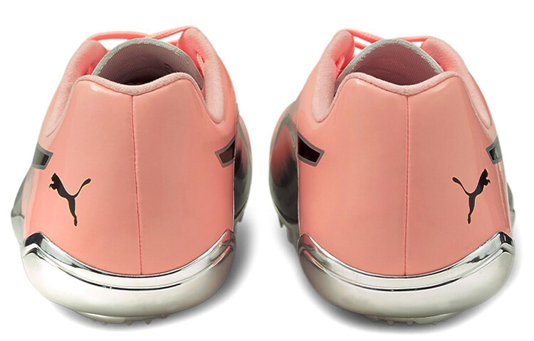 Puma Evospeed Electric 10 Кроссовки Мужчины
Puma Evospeed Electric 10 Кроссовки Мужчины