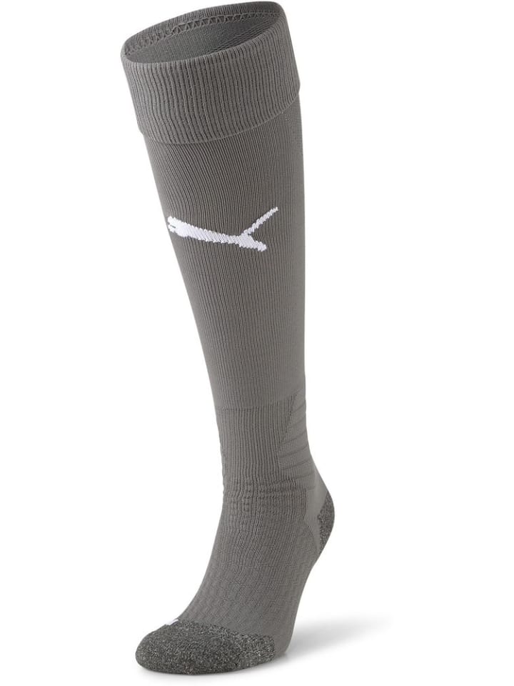 Носки Team LIGA серого цвета Puma
Носки Team LIGA серого цвета Puma