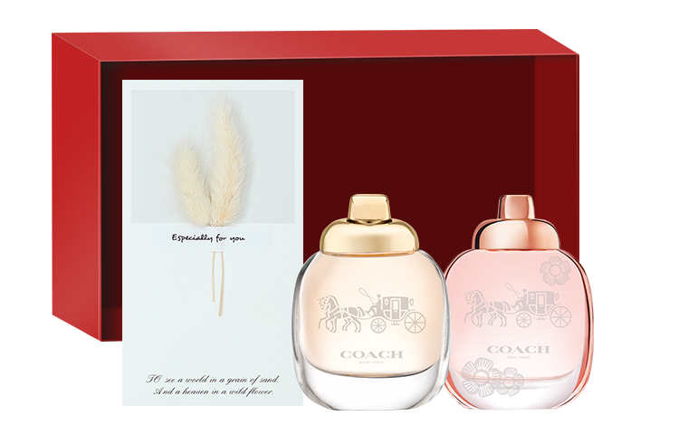 Набор духов для женщин COACH
Набор духов для женщин COACH