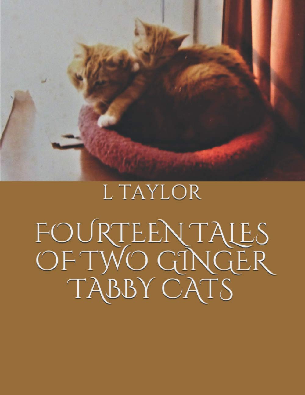FOURTEEN TALES OF TWO GINGER TABBY CATS (Independently published)
FOURTEEN TALES OF TWO GINGER TABBY CATS (Independently published)