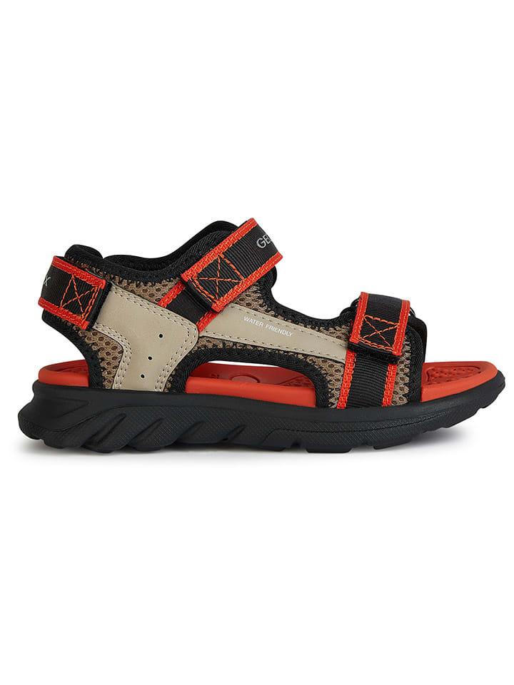 Сандалии Airadyum Geox, цвет beige/rot/schwarz
Сандалии Airadyum Geox, цвет beige/rot/schwarz