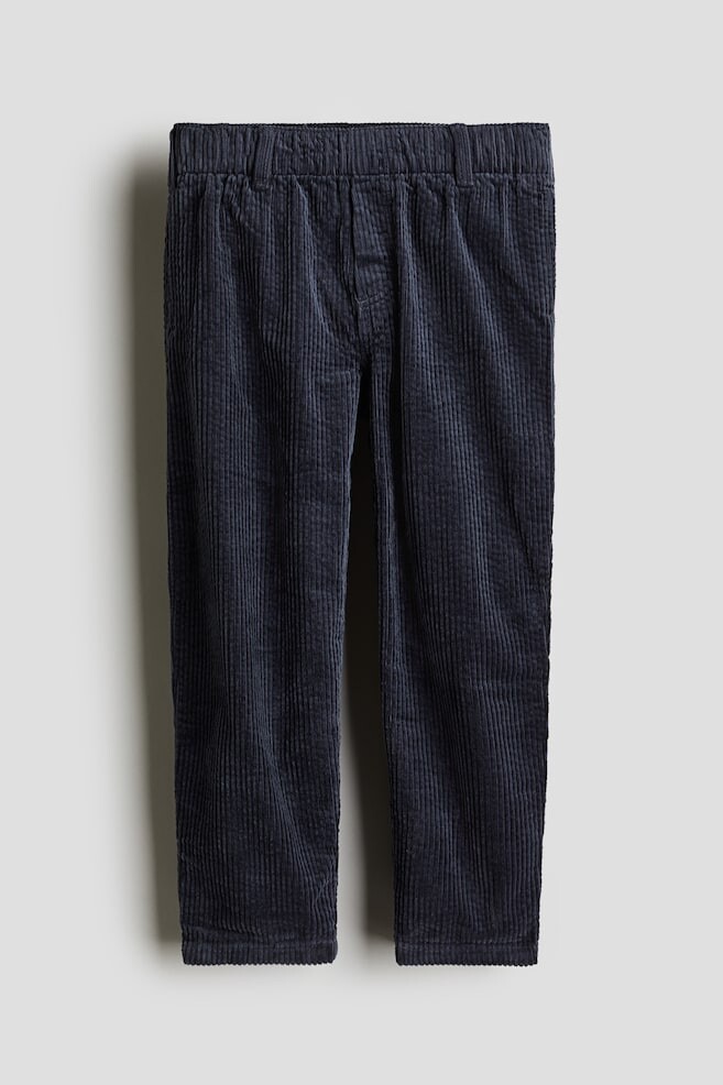 Брюки из хлопкового вельвета H&M, синий
Брюки из хлопкового вельвета H&M, синий