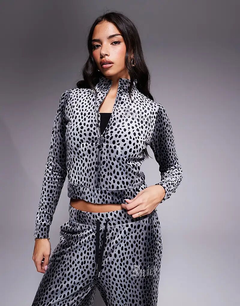 Эксклюзивная толстовка с капюшоном на молнии Juicy Couture x ASOS в тональную черную гепардовую расцветку, Черный, Эксклюзивная толстовка с капюшоном на молнии Juicy Couture x ASOS в тональную черную гепардовую расцветку
Эксклюзивная толстовка с капюшоном на молнии Juicy Couture x ASOS в тональную черную гепардовую расцветку, Черный, Эксклюзивная толстовка с капюшоном на молнии Juicy Couture x ASOS в тональную черную гепардовую расцветку