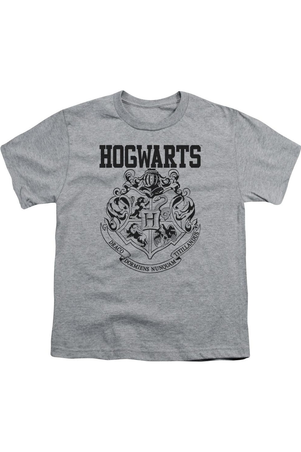 Футболка с коротким рукавом Harry Potter Hogwarts Athletic для детей Gildan, Athletic Heather 
Футболка с коротким рукавом Harry Potter Hogwarts Athletic для детей Gildan, Athletic Heather