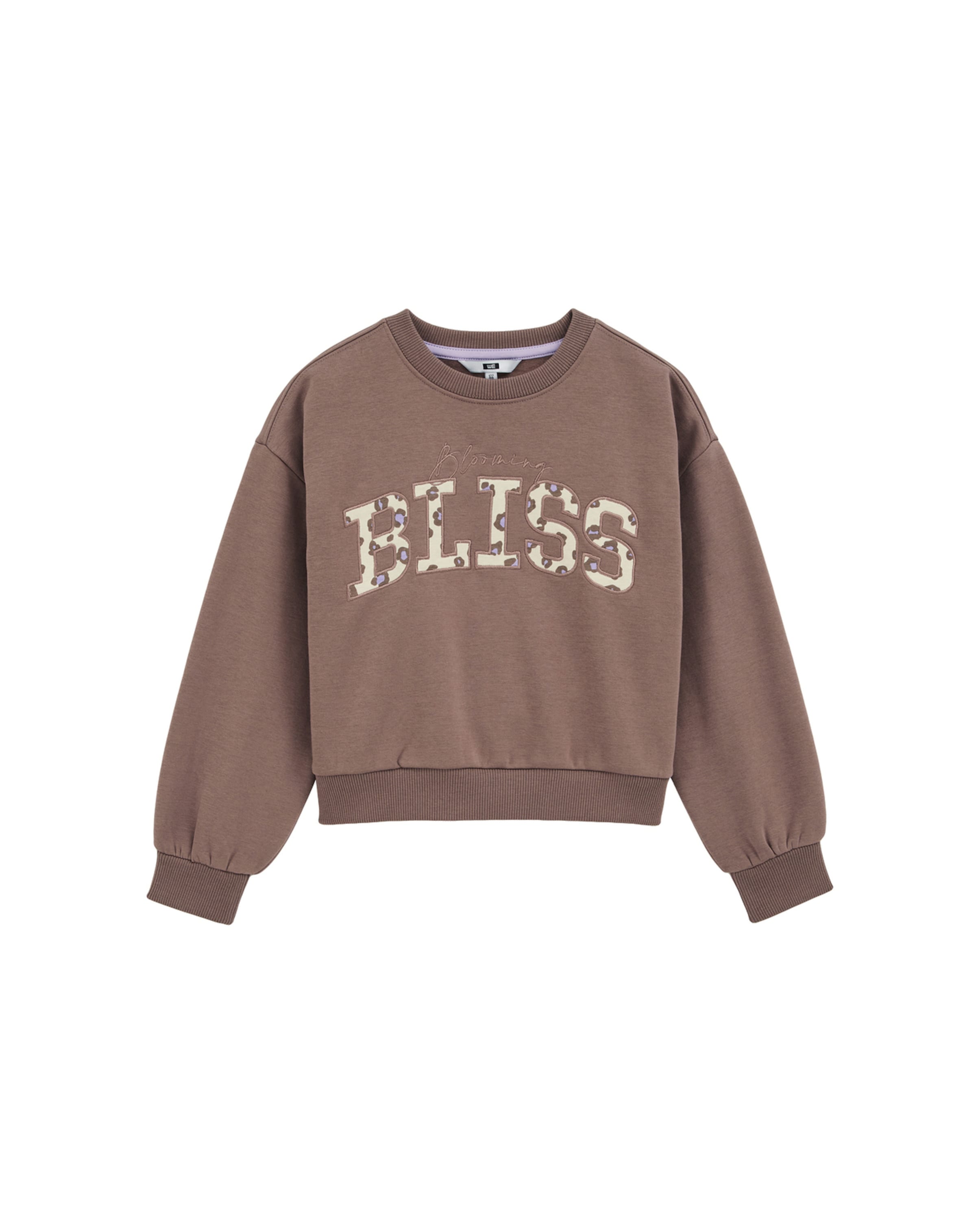 WE Fashion Свитшот в цвете Brown, Dark Brown
WE Fashion Свитшот в цвете Brown, Dark Brown