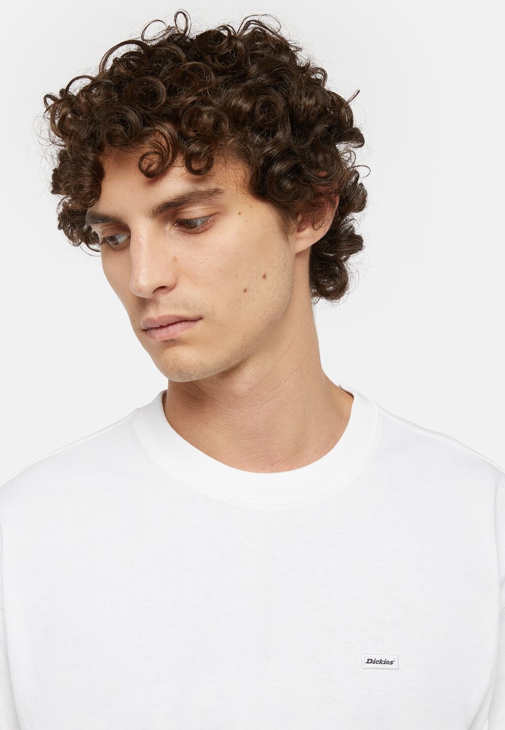 Базовая футболка CLANCY HEAVYWEIGHT TEE SS Dickies, белый
Базовая футболка CLANCY HEAVYWEIGHT TEE SS Dickies, белый