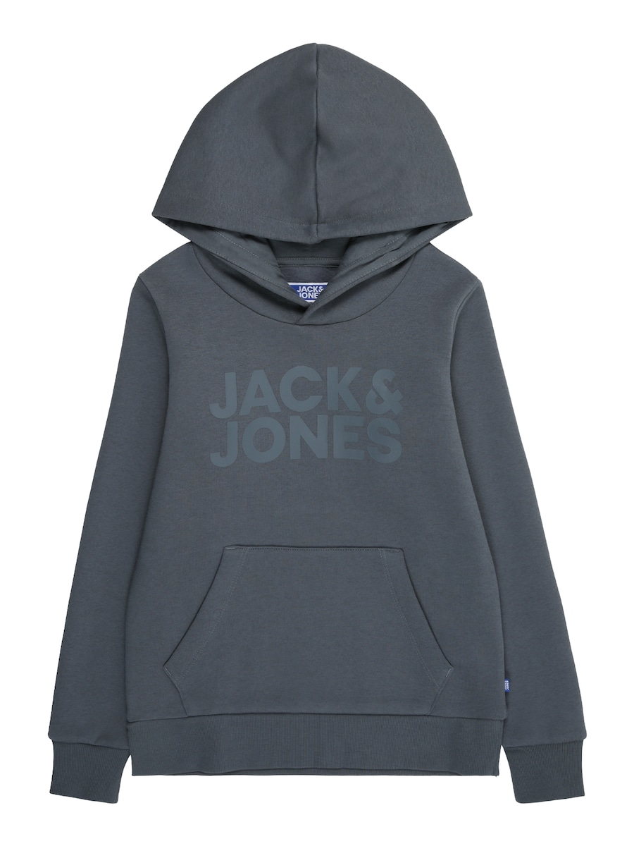Толстовка обычного кроя Jack & Jones Junior, темно-серый
Толстовка обычного кроя Jack & Jones Junior, темно-серый