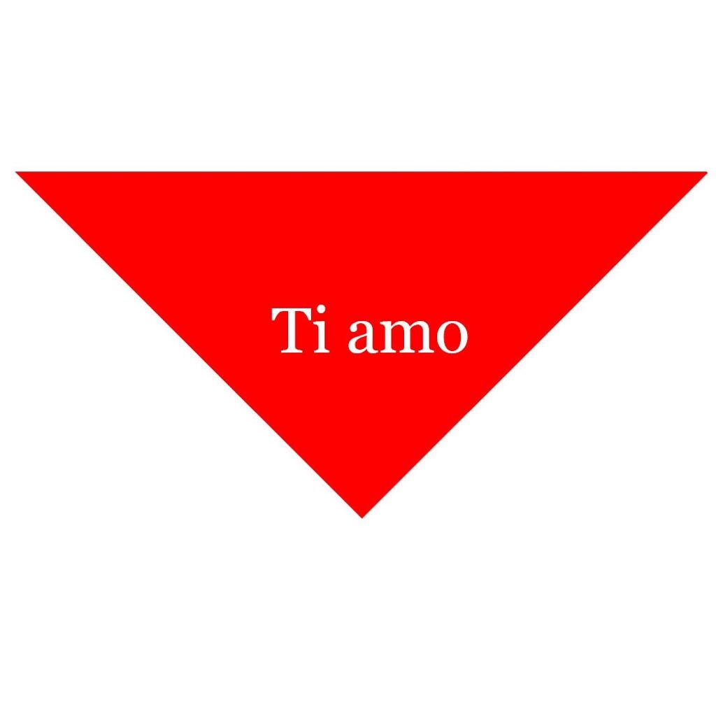 Треугольный тканевый декоративный шарф 'ti amo' красный 110 х 80 х 80 см, можно стирать TE-IMPORTE
Треугольный тканевый декоративный шарф 'ti amo' красный 110 х 80 х 80 см, можно стирать TE-IMPORTE