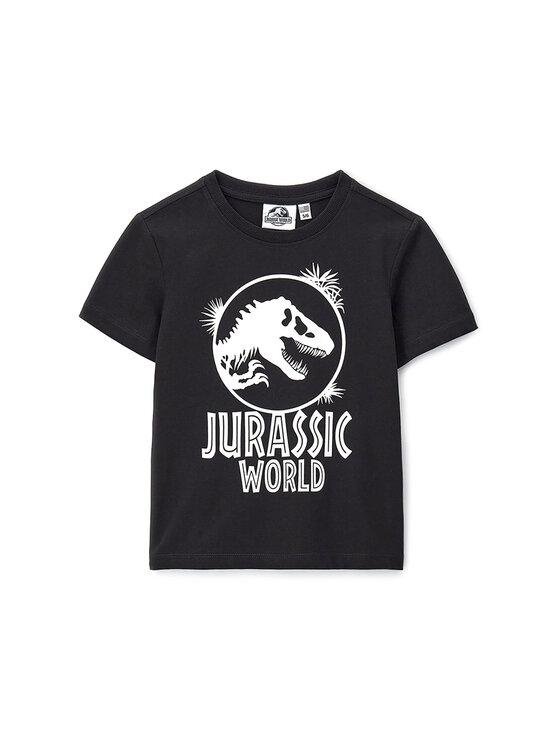 Футболка обычного кроя DFPV2265CM Original Marines, черный
Футболка обычного кроя DFPV2265CM Original Marines, черный