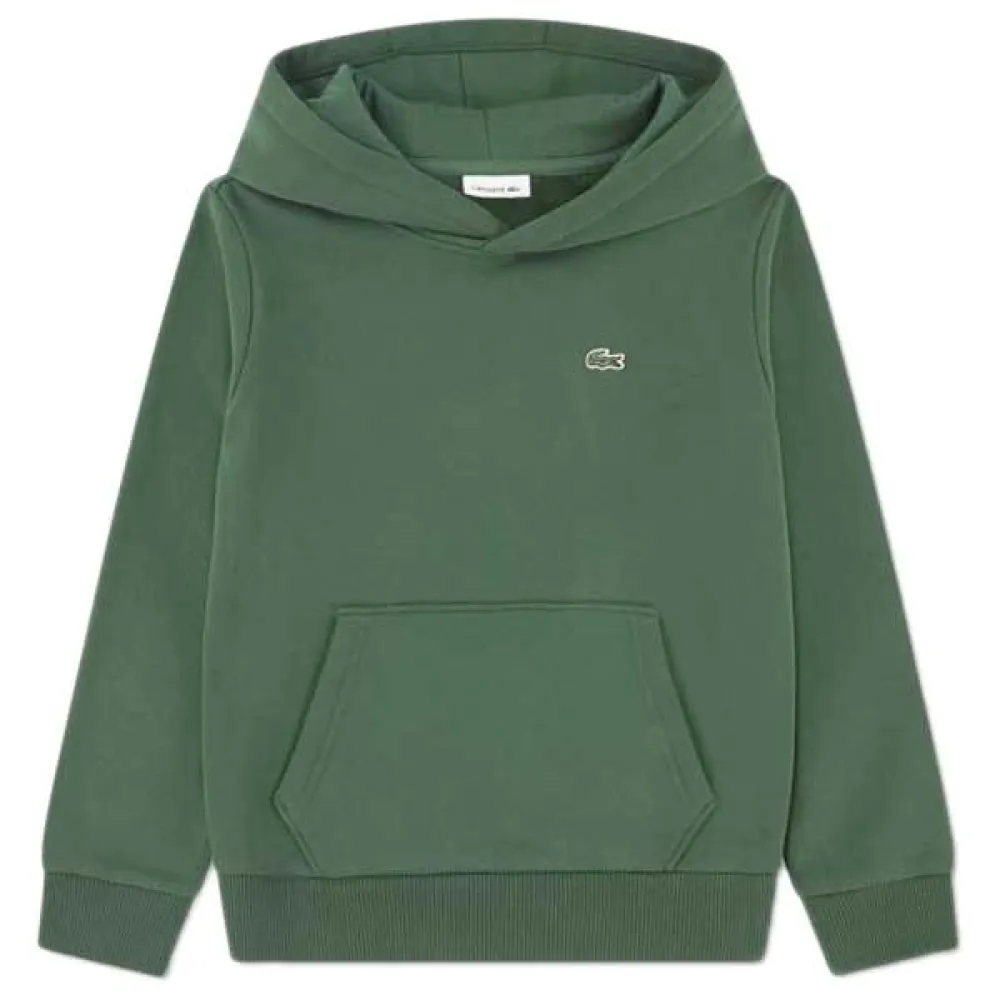 Худи Lacoste Kids Core Fleece, зеленый
Худи Lacoste Kids Core Fleece, зеленый