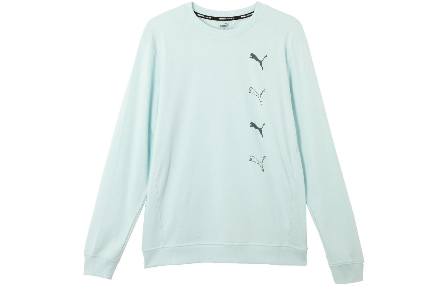 Мужская толстовка Puma, цвет Blue
Мужская толстовка Puma, цвет Blue