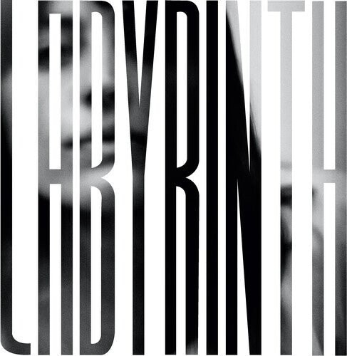 Виниловая пластинка Broderick, Heather Woods - Labyrinth
Виниловая пластинка Broderick, Heather Woods - Labyrinth