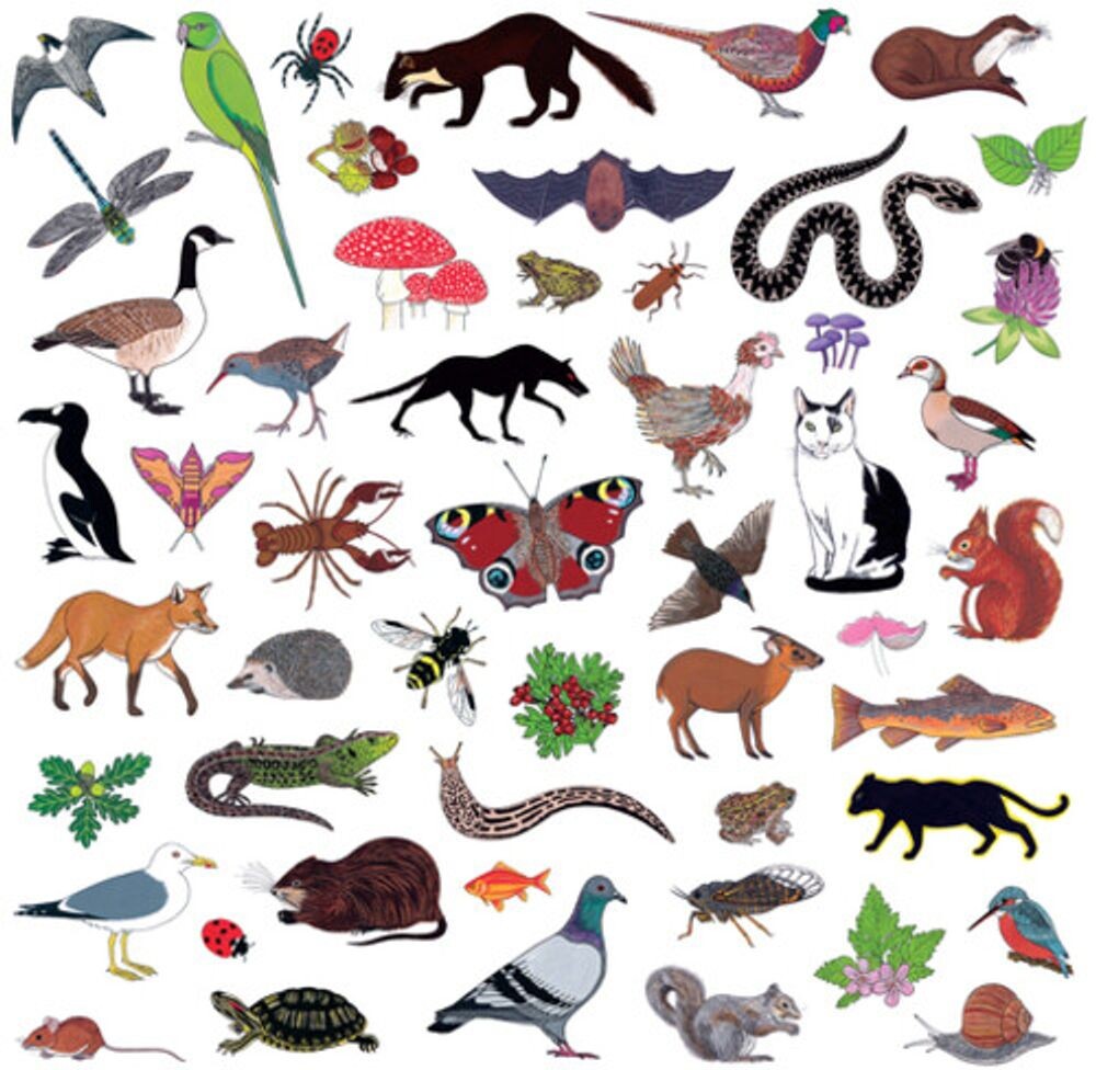 Виниловая пластинка LP Island Of Noise - Modern Nature
Виниловая пластинка LP Island Of Noise - Modern Nature