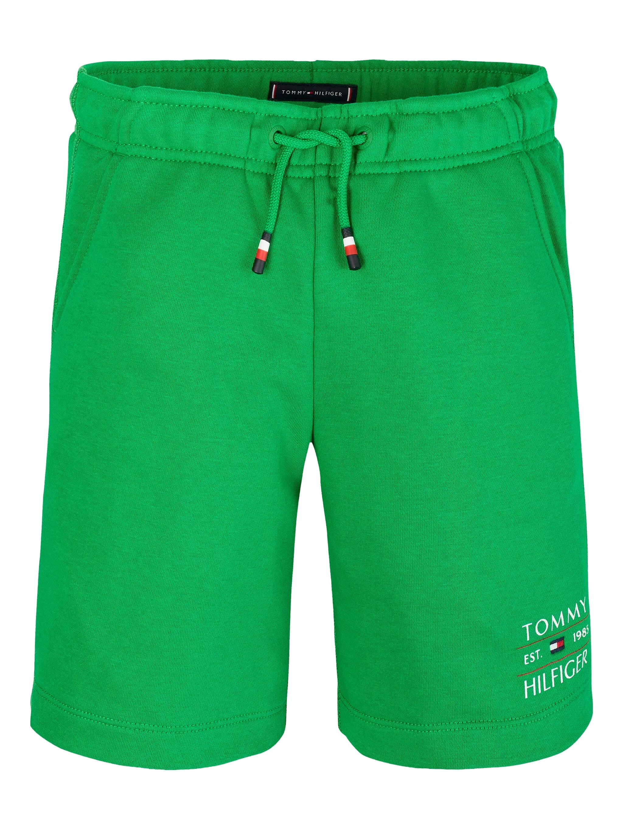 Шорты с логотипом Tommy Hilfiger Junior, зеленый
Шорты с логотипом Tommy Hilfiger Junior, зеленый