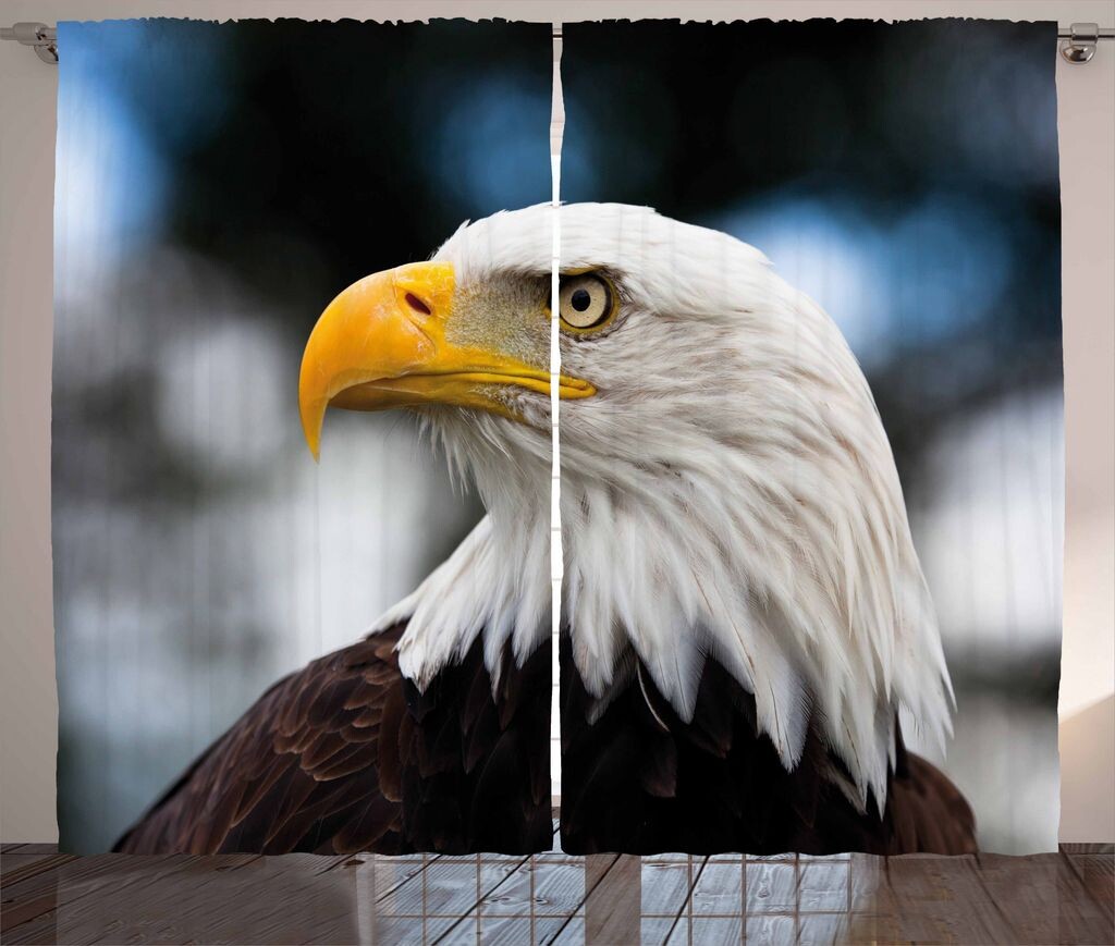 ABAKUHAUS Adler Рустикальная штора, Freedom United States, универсальные ленточные шторы для гостиной с петлями и крючками, 280 x 260 см, темно-коричневые бархатцы синие, синий
ABAKUHAUS Adler Рустикальная штора, Freedom United States, универсальные ленточные шторы для гостиной с петлями и крючками, 280 x 260 см, темно-коричневые бархатцы синие, синий