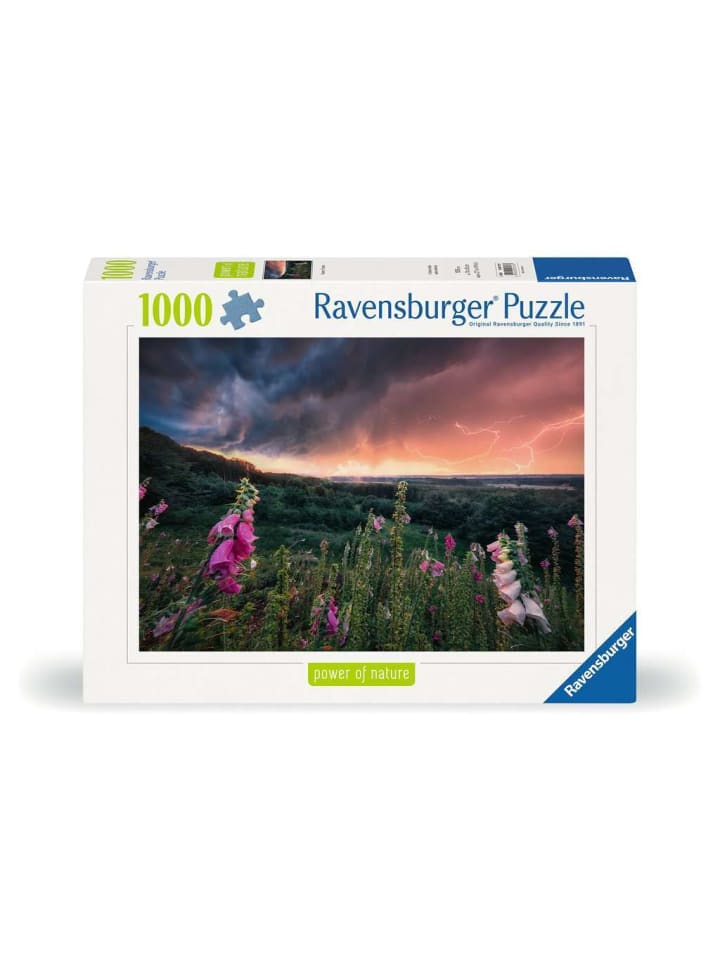 Пазл Ravensburger, 1000 деталей. Надвигается буря в красочном исполнении
Пазл Ravensburger, 1000 деталей. Надвигается буря в красочном исполнении