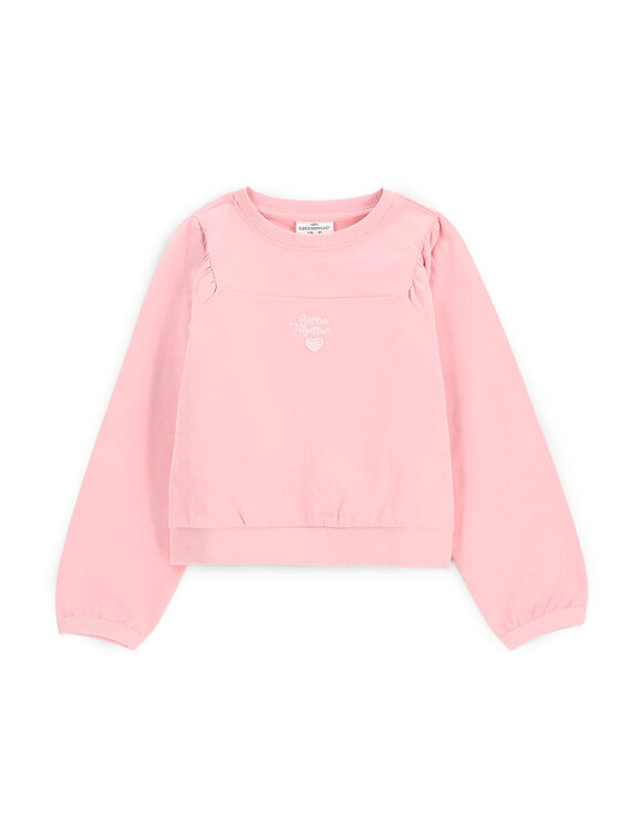 Толстовка обычного кроя WC5132101NGK Coccodrillo, розовый
Толстовка обычного кроя WC5132101NGK Coccodrillo, розовый
