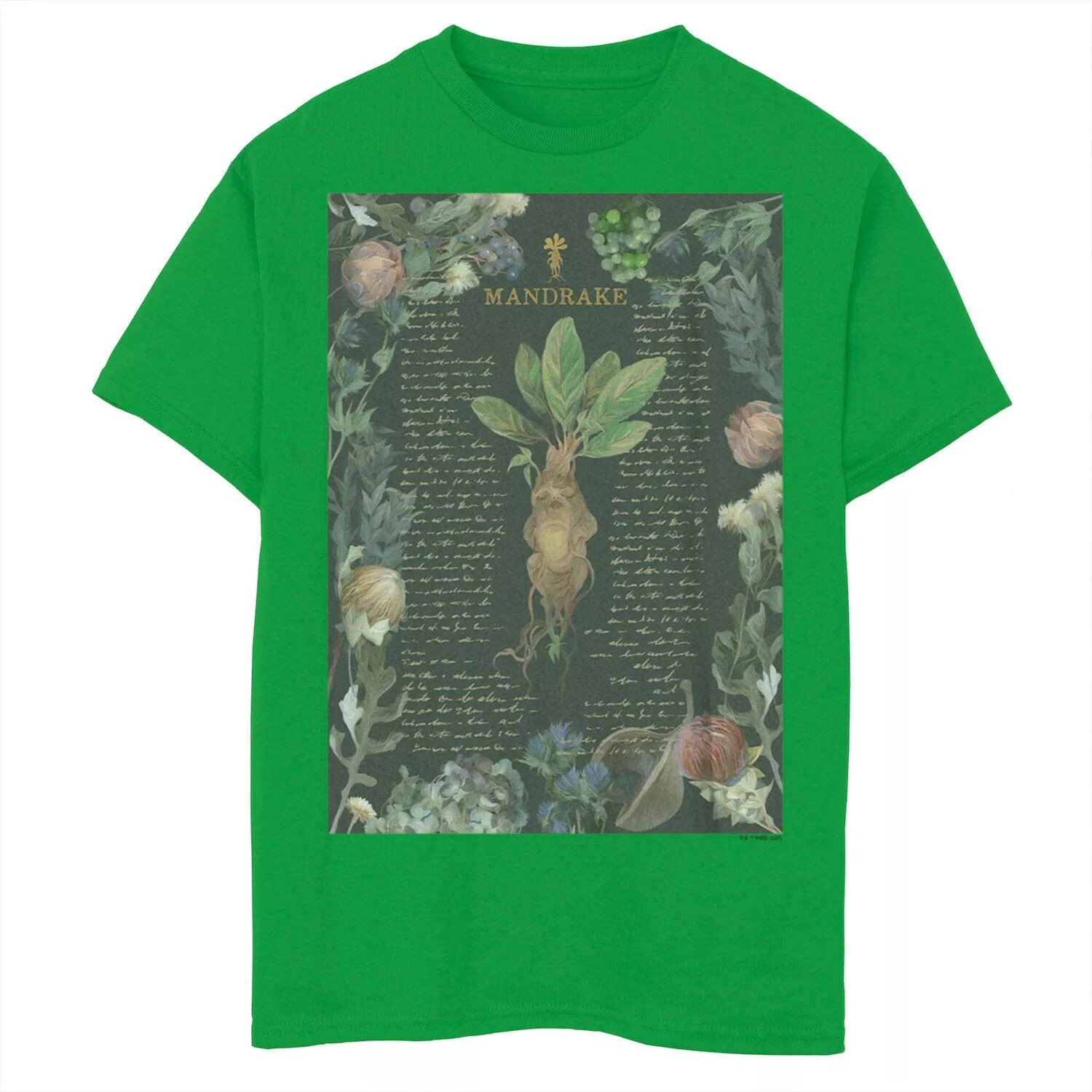 Футболка с ботаническим рисунком «Гарри Поттер и Мандрагора» для мальчиков 8–20 лет Licensed Character
Футболка с ботаническим рисунком «Гарри Поттер и Мандрагора» для мальчиков 8–20 лет Licensed Character