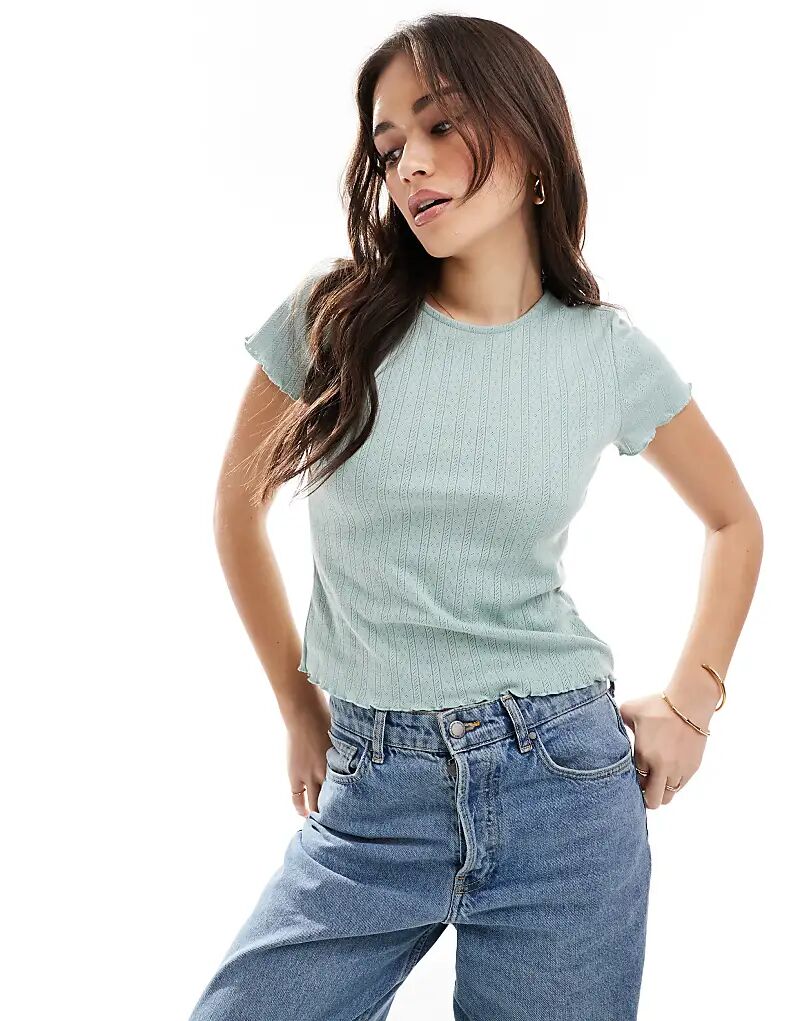 детская футболка с окантовкой из листьев салата в цвете шалфея
детская футболка с окантовкой из листьев салата в цвете шалфея