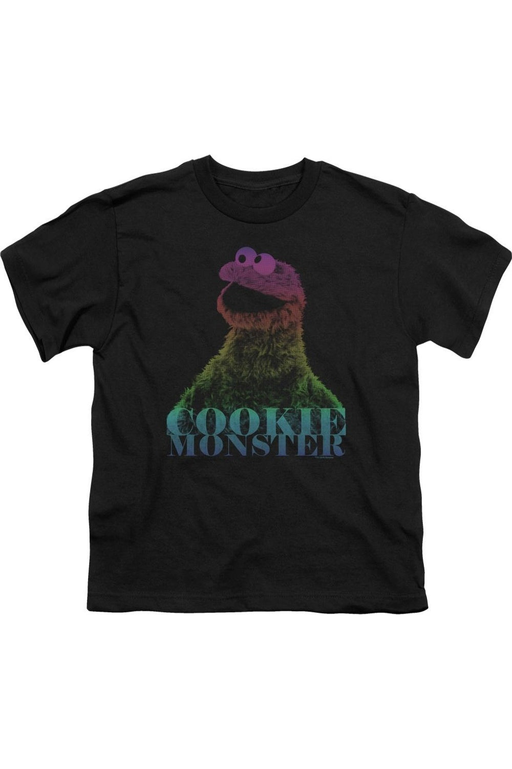 Футболка с коротким рукавом для детей Sesame Street Cm Halftone Gildan, черный
Футболка с коротким рукавом для детей Sesame Street Cm Halftone Gildan, черный