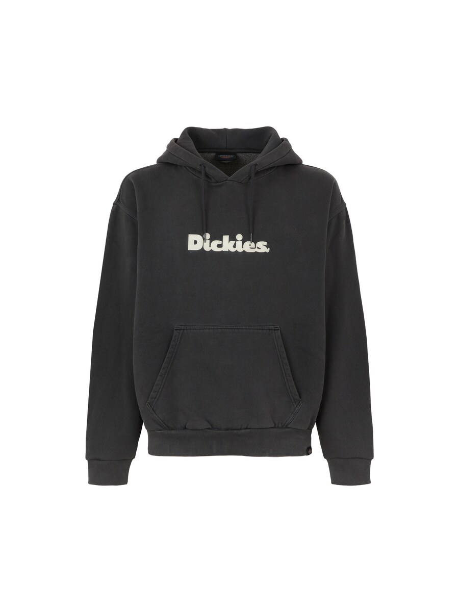 Толстовка DICKIES Slayden, черный
Толстовка DICKIES Slayden, черный
