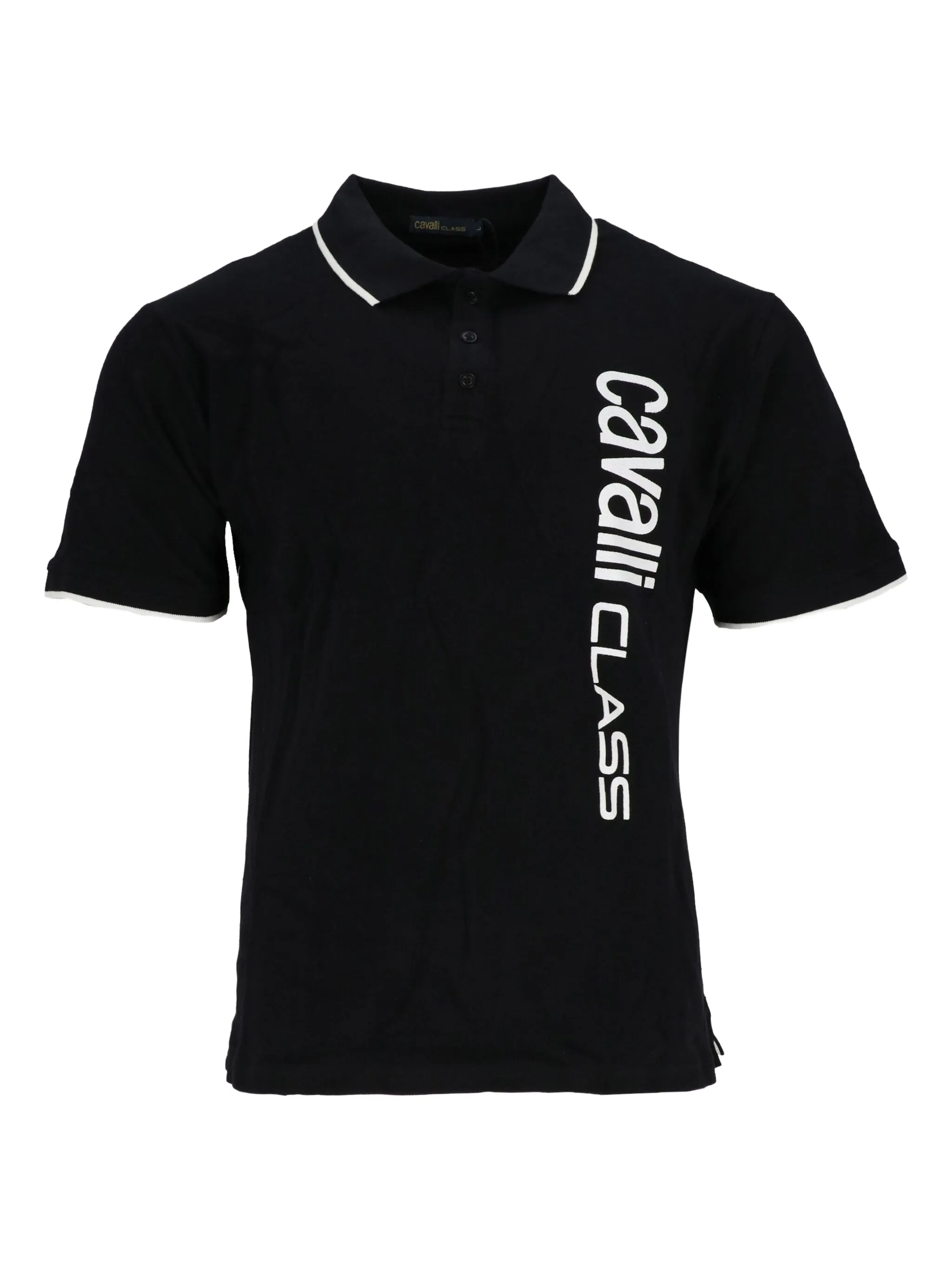 Рубашка поло с логотипом Cavalli Class, черный
Рубашка поло с логотипом Cavalli Class, черный