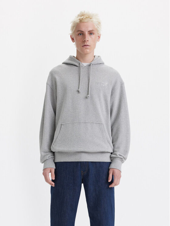 Толстовка свободного кроя Levi's, серый
Толстовка свободного кроя Levi's, серый