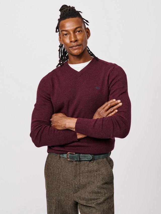 Вязаный свитер с V-образным вырезом Eastbourne Aubin, Port
Вязаный свитер с V-образным вырезом Eastbourne Aubin, Port