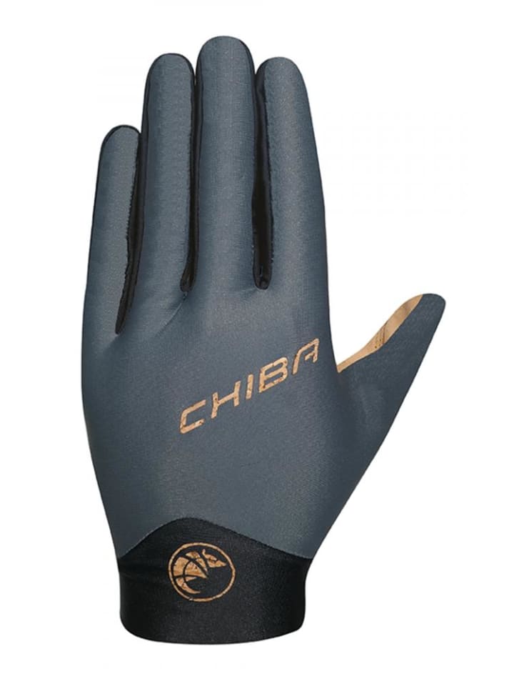 Велосипедные перчатки Eco Glove Pro Touring, размер XXL, темные Chiba
Велосипедные перчатки Eco Glove Pro Touring, размер XXL, темные Chiba