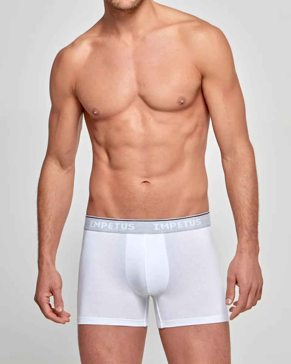 Мужские боксеры однотонной вязки Impetus, белый
Мужские боксеры однотонной вязки Impetus, белый