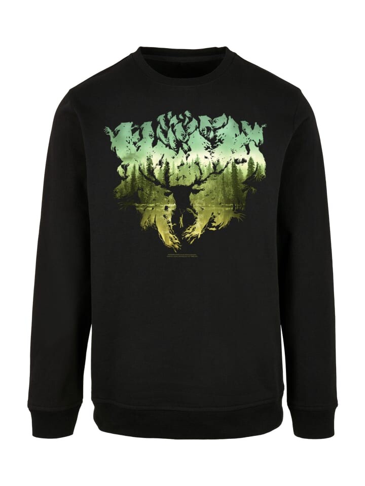 Толстовка F4NT4STIC Harry Potter Magical Forest, черный
Толстовка F4NT4STIC Harry Potter Magical Forest, черный