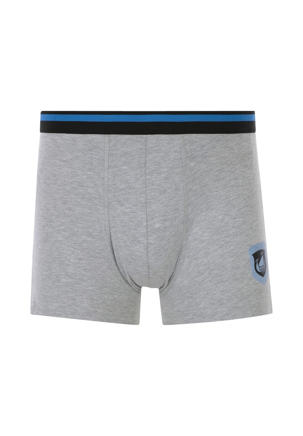 Трусы 3ER PACK RETRO VELJOR Jan Vanderstorm, серый
Трусы 3ER PACK RETRO VELJOR Jan Vanderstorm, серый