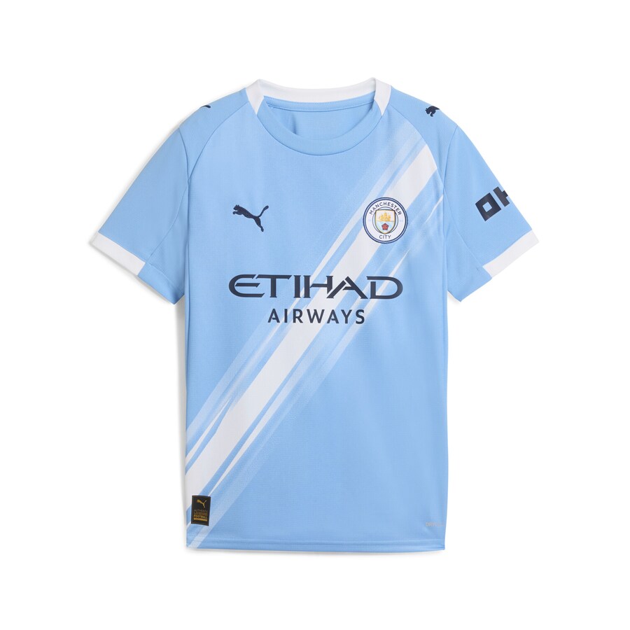Футболка Performance PUMA Manchester City 25/26, светло-голубой, Синий, Футболка Performance PUMA Manchester City 25/26, светло-голубой
Футболка Performance PUMA Manchester City 25/26, светло-голубой, Синий, Футболка Performance PUMA Manchester City 25/26, светло-голубой