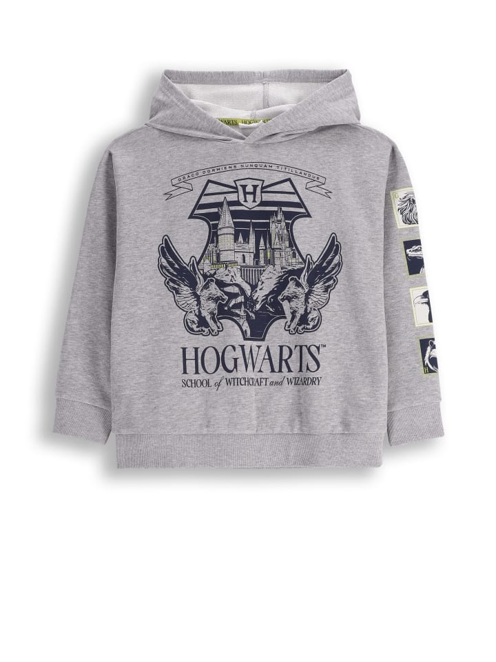 Толстовка Coccodrillo, серый
Толстовка Coccodrillo, серый