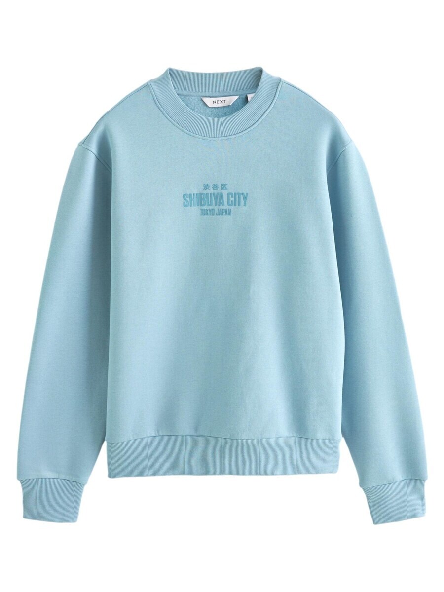 Свитер Next Sweatshirt, светло-синий
Свитер Next Sweatshirt, светло-синий