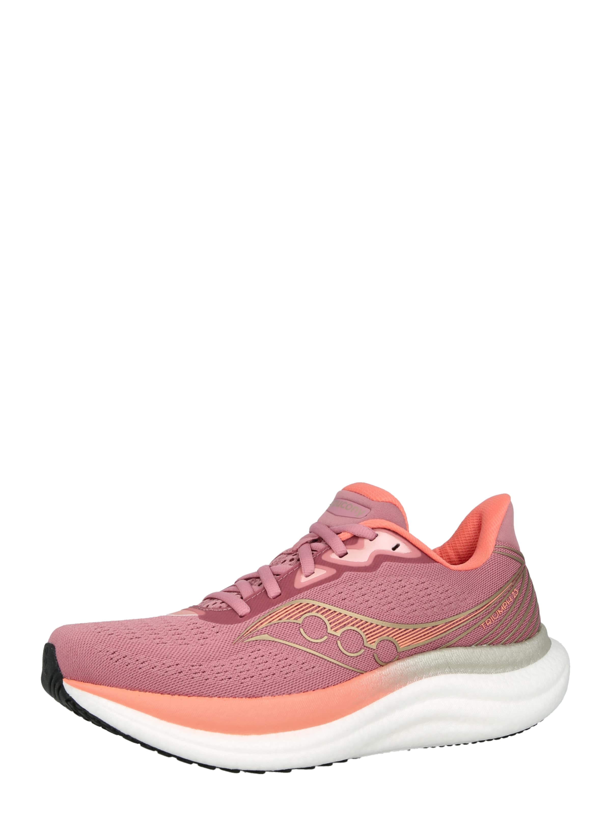 Saucony Беговые кроссовки 'TRIUMPH 23' в цвете Mauve
Saucony Беговые кроссовки 'TRIUMPH 23' в цвете Mauve